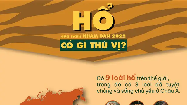 Tục Thờ Cúng Tổ Tiên Của Người Thái Vào Dịp Tết: Nét Văn Hóa Tâm Linh Đậm Đà