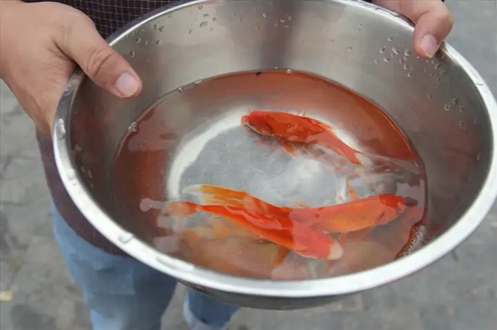 Cách Cúng Ông Táo Khi Nhà Không Thờ Riêng: Vị Trí Và Nghi Thức Chuẩn Xác