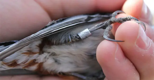 Các Nhà Mạng Tại Việt Nam Có Thể Theo Dõi Người Dùng Như Thế Nào?