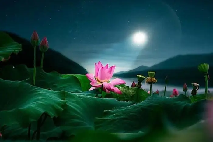 Nhạc Kinh Cúng Rằm Tháng 10: Gợi Ý Danh Sách Bài Ca Ngợi Phổ Biến