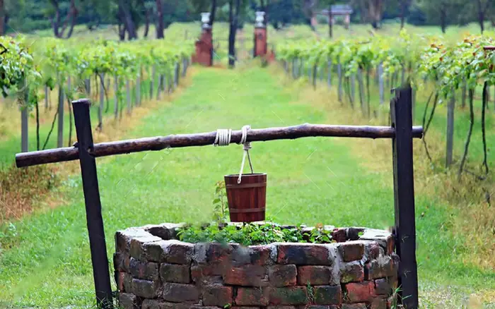 Nhờ Người Cúng Đào Giếng Được Không? Quy Trình Và Những Điều Cần Biết