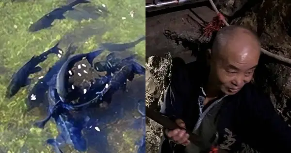 Nhờ Người Cúng Đào Giếng Được Không? Quy Trình Và Những Điều Cần Biết