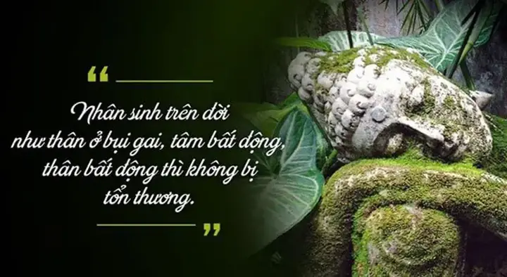 40+ Những Câu Nói Hay Của Phật Pháp Về Cuộc Sống