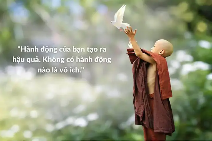 Những Câu Nói Hay Của Phật Pháp Về Luật Nhân Quả