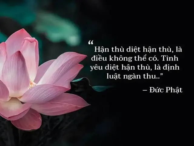 40+ Những Câu Nói Hay Của Phật Pháp Về Cuộc Sống