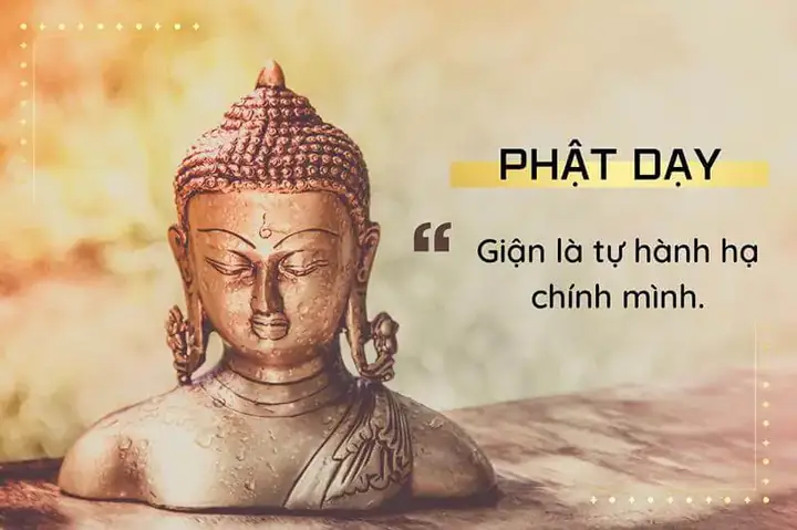 30+ Những Câu Nói Hay Về Phật Pháp Về Sự Buông Bỏ