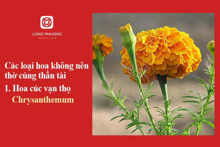 Những Điều Kiêng Kỵ Khi Cúng Thần Tài Để Đón Tài Lộc Vào Nhà