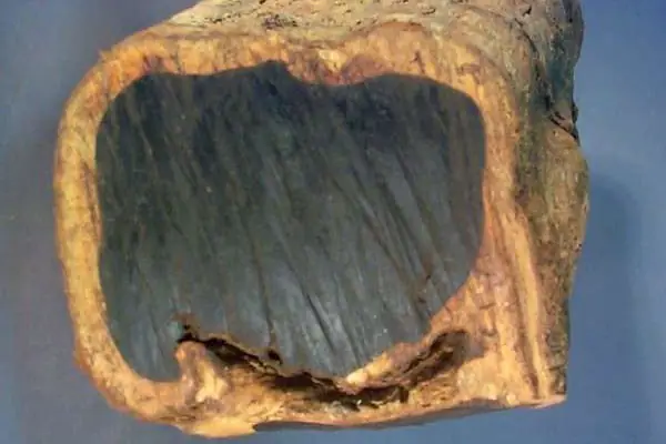 Các Loại Gỗ Dùng Làm Đồ Thờ Cúng Phổ Biến Và Cách Lựa Chọn