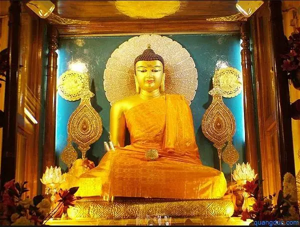 Niệm Phật Công Đức Hơn Là Cúng Dường Châu Báu: Giải Mã Giá Trị Thực Sự Từ Trong Kinh Điển