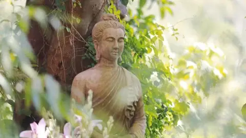 Cẩm Nang Niệm Hương Cúng Phật: Nên Niệm Danh Hiệu Nào Trước?