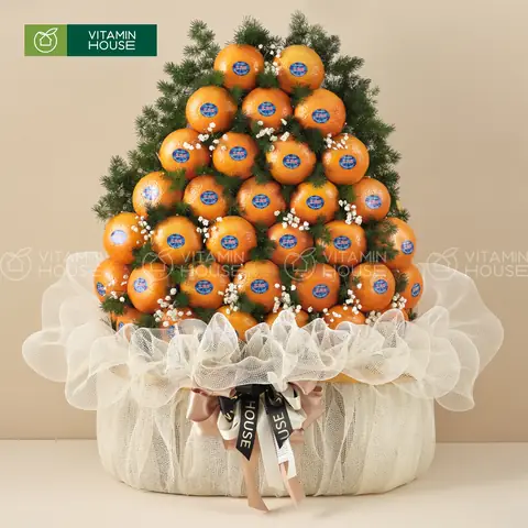 Review Top 5 Giỏ Trái Cây Cúng Đám Giổ: Đâu Là Lựa Chọn Tốt Nhất Cho Mùa Xuân 2026?