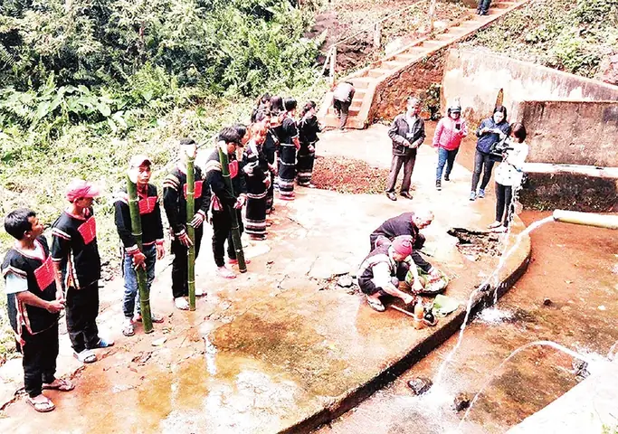 Nước Nào Thờ Cúng Con Heo? Nguồn Gốc Và Ý Nghĩa Văn Hóa Sâu Sắc