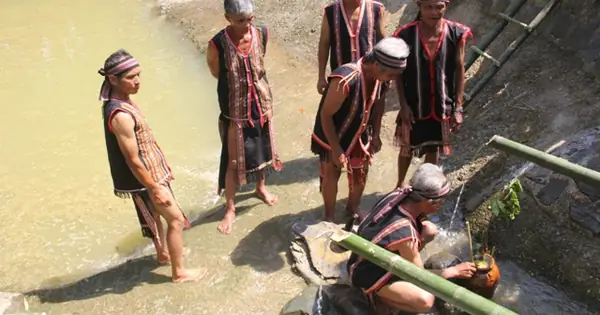 Nước Nào Thờ Cúng Con Heo? Nguồn Gốc Và Ý Nghĩa Văn Hóa Sâu Sắc