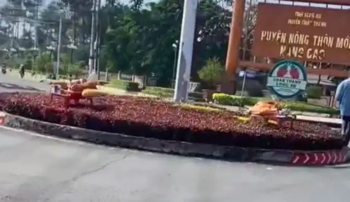 Nước Thò Cúng Con Heo: Nguồn Gốc, Ý Nghĩa Và Cách Chuẩn Bị