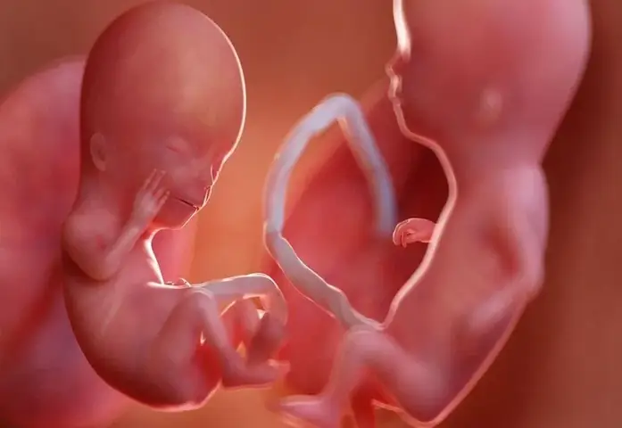 Oi Có Cúng Được Không? Giải Đáp Thắc Mắc Về Các Hình Thức Cúng Kiếng Trong Đời Sống Hiện Đại