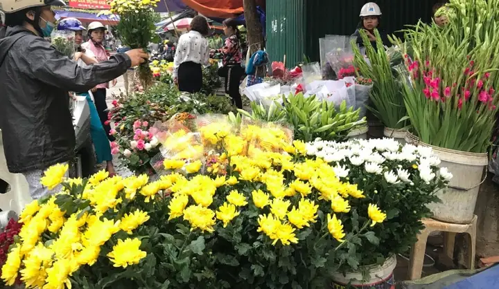 Ý Nghĩa Cúng Hoa Gì Ngày Ông Công Ông Táo: Gợi Ý Chi Tiết