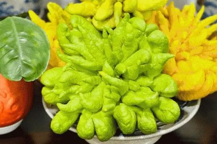 Phat Thu Cúng Trên Bàn Thờ: Quy Tắc Và Ý Nghĩa Tâm Linh