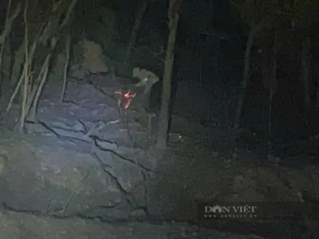 Cháy Ở Núi Phật Tích (tiên Du, Bắc Ninh): Lửa Suýt Lan Đến Pho Tượng Phật Khổng Lồ, May Mắn Đã Dập Được Lửa- Ảnh 2.