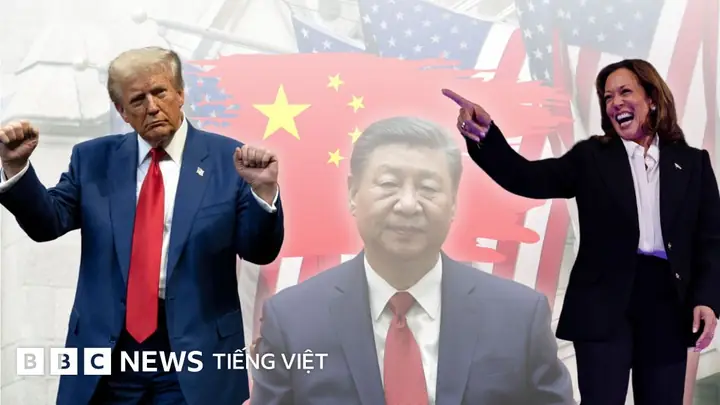 Tầm Quan Trọng Của Việc Nâng Cao Chất Lượng Nội Dung Giải Trí Trực Tuyến