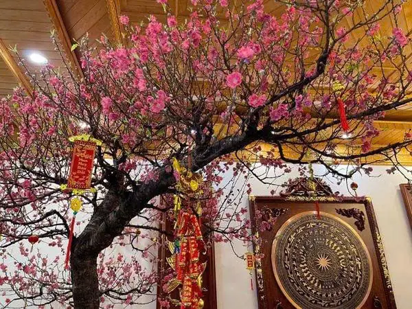 10+ Phong Cách Trang Trí Quán Ấm Cúng Phổ Biến Nhất Hiện Nay