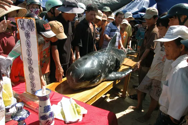 Phong Tục Cúng Ông Địa Ở Quảng Nam: Gìn Giữ Bản Sắc Văn Hóa Tâm Linh