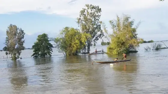Sự Thật Về "phụng Sự Chúng Sanh Là Cúng Dường Chư Phật": Ý Nghĩa Thực Sự Đằng Sau Câu Nói Này