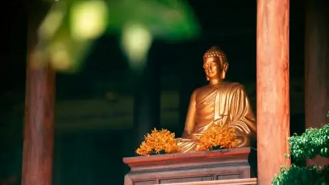 Phước Báo Cúng Dường Y Kathina: Giải Mã Ý Nghĩa Và Công Đức Trong Phật Giáo