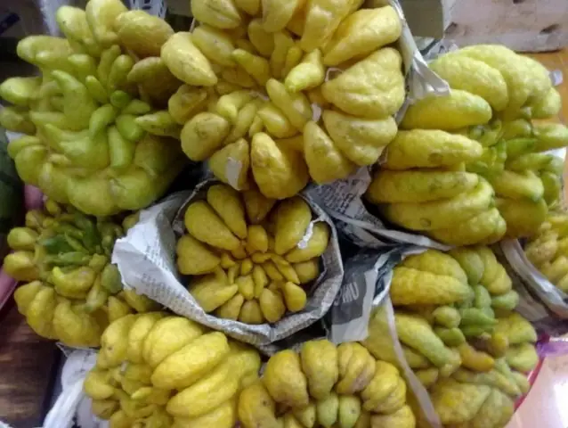 Cách Sử Dụng Quả Phật Thủ