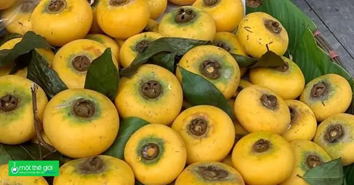 Quả Thị Có Cúng Được Không? Giải Đáp Ý Nghĩa Tâm Linh Và Phong Tục