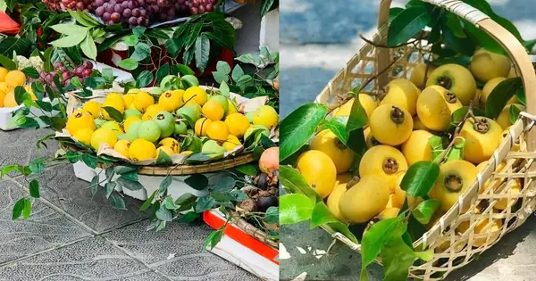 Quả Thị Có Cúng Được Không? Giải Đáp Ý Nghĩa Tâm Linh Và Phong Tục