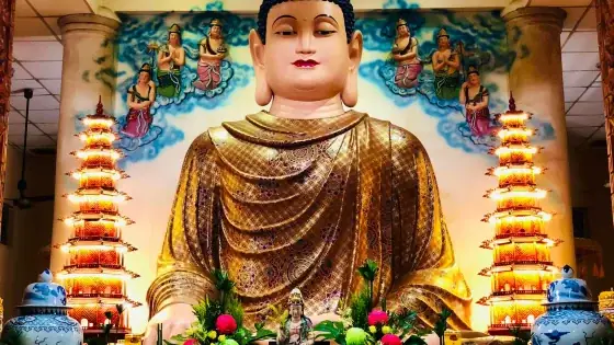 Tự Qui Y Phật, Tự Qui Y Pháp, Tự Qui Y Tăng Là Gì?