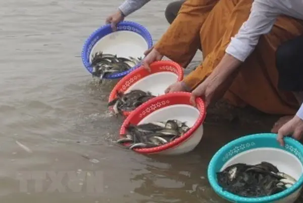 Rằm Tháng Giêng Có Cúng Chúng Sinh Không?