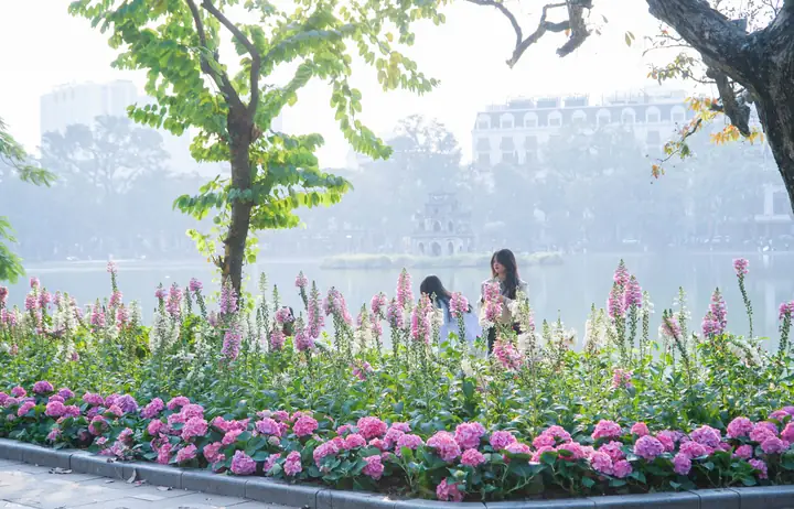 Cẩm Nang Chọn Hoa Quả Cúng Rằm Tháng Giêng Chuẩn Tâm Linh Và Phong Thủy