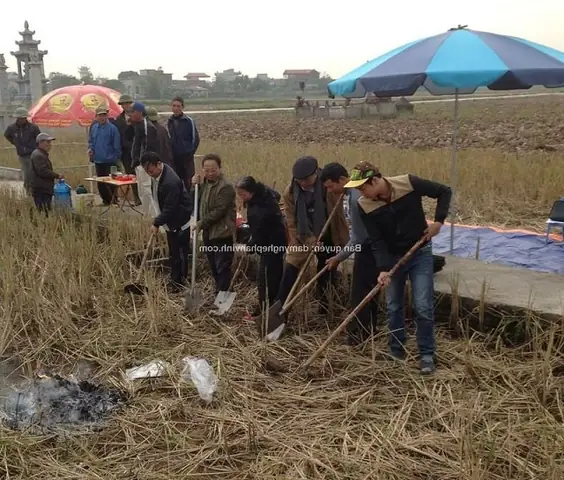 Cẩm Nang Chi Tiết Về Lễ Cúng Động Thổ Khi Xây Mộ