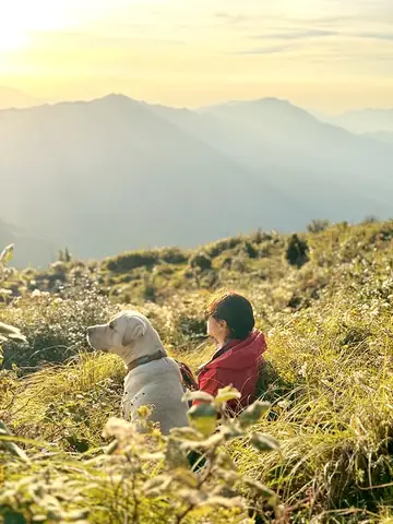 Sân Bay Lùng Cúng: Vị Trí, Hướng Dẫn Di Chuyển Và Những Điều Cần Biết