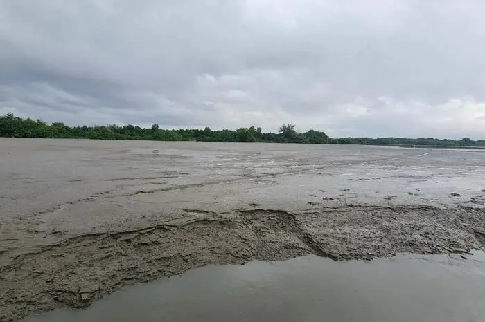 Hướng Dẫn Chi Tiết Cách San Nền Đắp Đất Trong Lễ Cúng