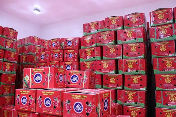 Cách Sắp Xếp Thanh Long Cúng Đúng Nghi Lễ Và Ý Nghĩa Tâm Linh