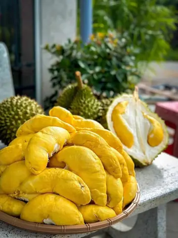 Sầu Riêng Có Cúng Được Không? Giải Đáp Chi Tiết Và Hướng Dẫn Cách Chọn Chuẩn Nhất