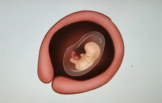 Say Thai Nhi 6 Tuần Có Cúng J Không