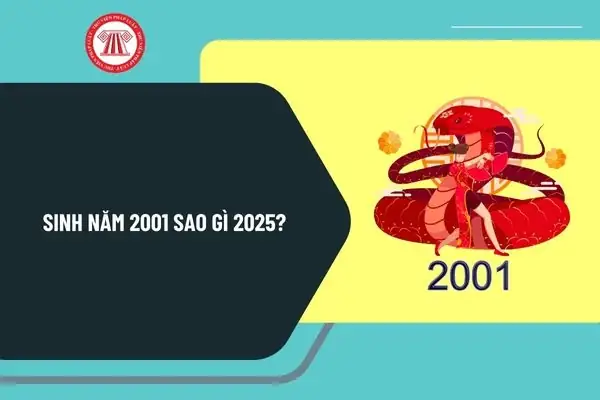 Sinh 2001 Cúng Sao Gì? Giải Đáp Chi Tiết Và Các Bước Chu Bị