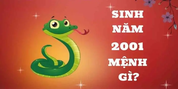 Sinh 2001 Cúng Sao Gì? Giải Đáp Chi Tiết Và Các Bước Chu Bị