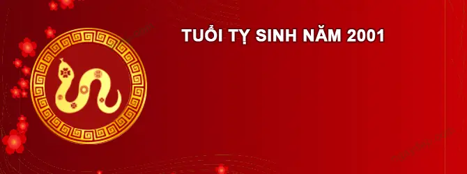 Sinh 2001 Cúng Sao Gì Năm 2026? Giải Đáp Chi Tiết Sao Kế Đô, La Hầu