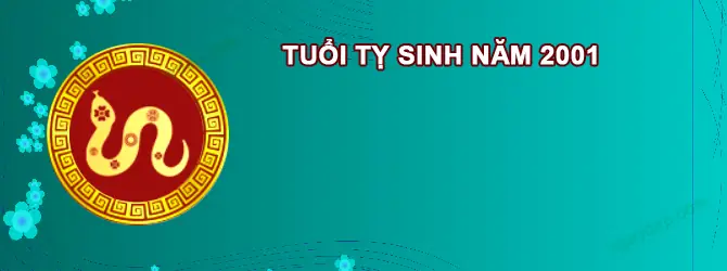 Sinh 2001 Cúng Sao Gì Năm 2026? Giải Đáp Chi Tiết Sao Kế Đô, La Hầu