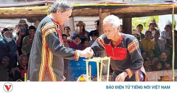 Sớ Cúng Cầu Mưa: Nguồn Gốc, Ý Nghĩa Và Văn Khấn Chi Tiết