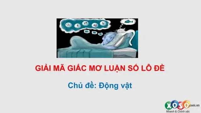 Sổ Mơ Lô De Các Con Vật: Giải Mã Ý Nghĩa Và Tra Cứu Chuẩn Xác Nhất