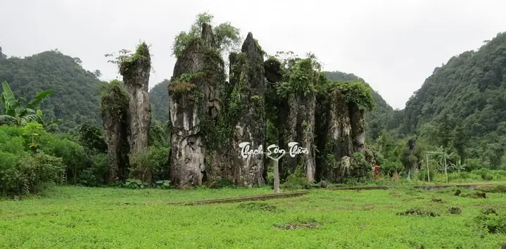 Top 5 Loại Sơn Thần Cúng Chay Tốt Nhất & Đáng Tin Cậy Dành Cho Gia Chủ