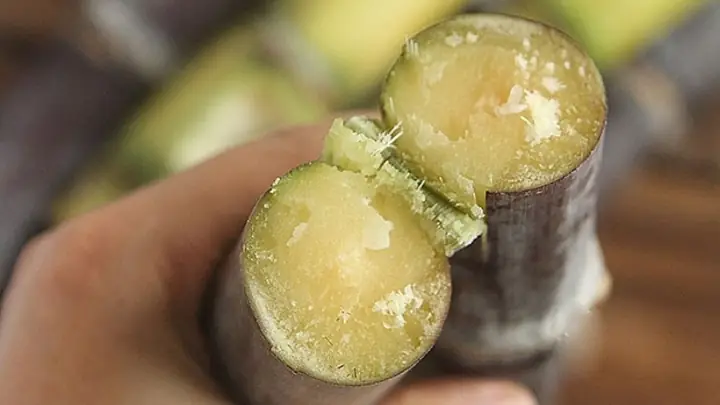 Ý Nghĩa Của Mía Trong Mâm Cúng Cô Hồn Và Những Lưu Ý Quan Trọng