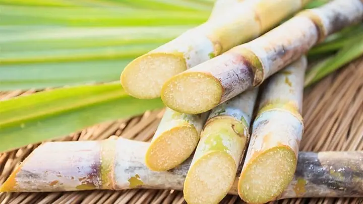 Ý Nghĩa Của Mía Trong Mâm Cúng Cô Hồn Và Những Lưu Ý Quan Trọng