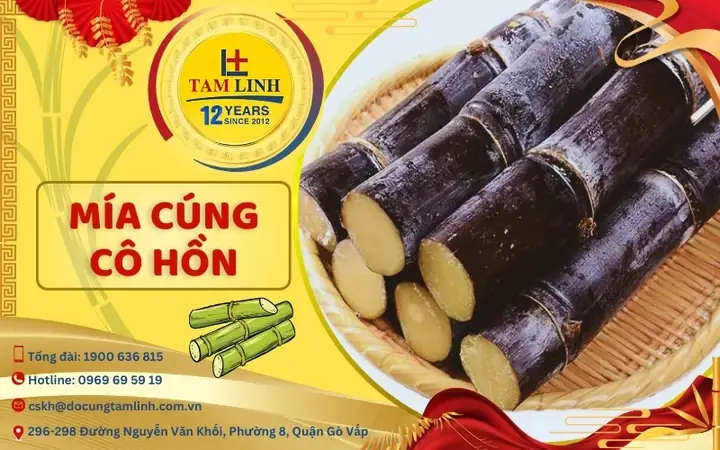 Tại Sao Cúng Cóc Mía?