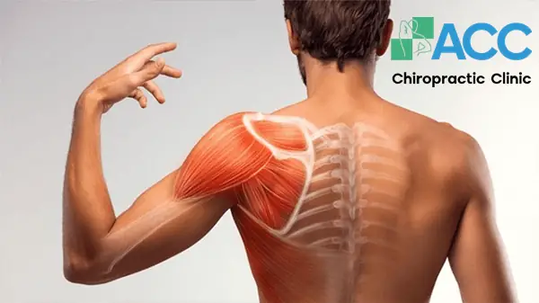 Tại Sao Khi Cúng Chỉ Ba Vái?